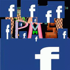 PxMxSx : VaginalSeepage : The Album